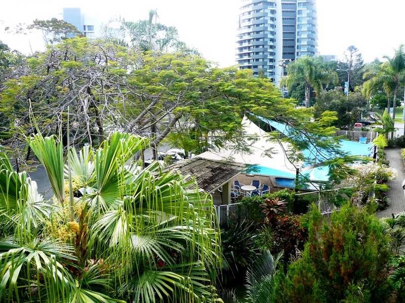 313/15 Burleigh Street, Burleigh Heads QLD 4220