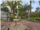 223 Palomino Road, Tamborine QLD 4270