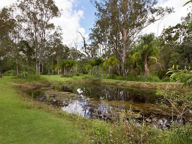 223 Palomino Road, Tamborine QLD 4270
