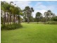223 Palomino Road, Tamborine QLD 4270