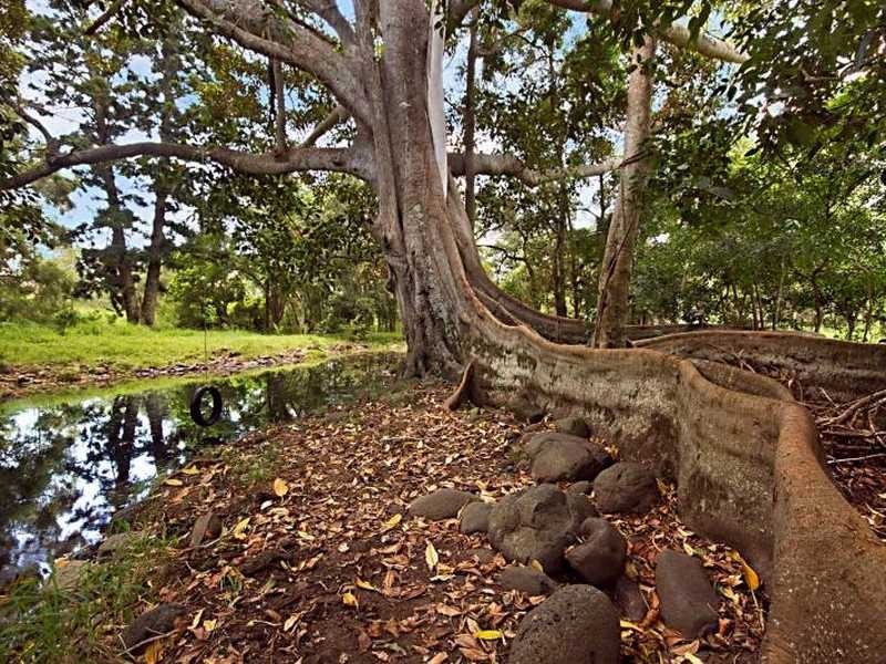 688 Cainbable Creek Rd, Kerry QLD 4285