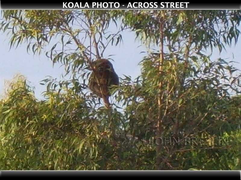 2 Culgoora Crescent, Reedy Creek QLD 4227