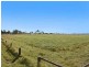 54 Thiedke Road, Beaudesert QLD 4285