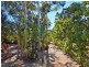 84 Bamboo Drive, Cedar Vale QLD 4285