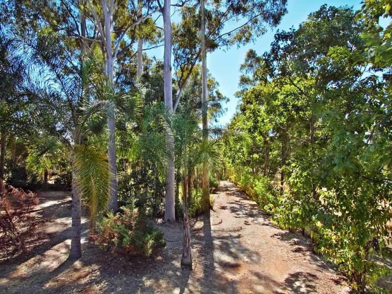 84 Bamboo Drive, Cedar Vale QLD 4285