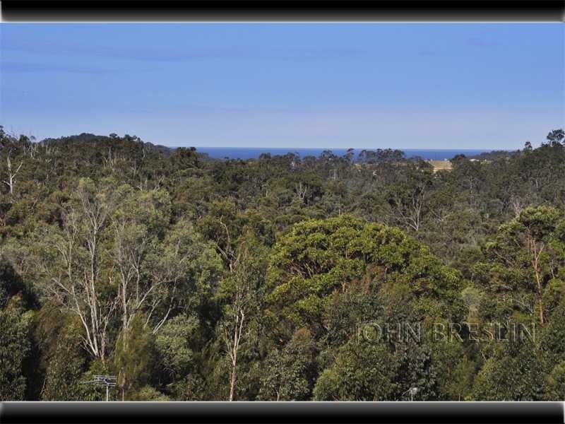 20 Willow Tree Drive, Reedy Creek QLD 4227