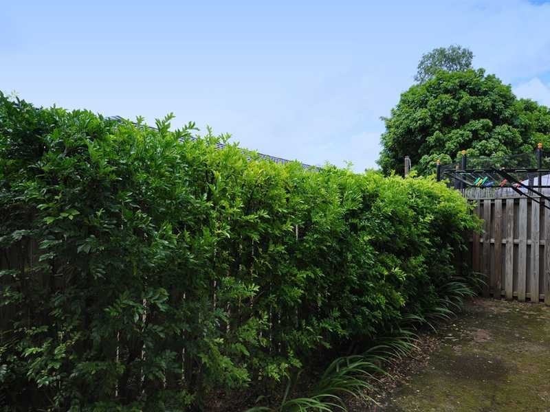 275/64 Gilston Road, Nerang QLD 4211