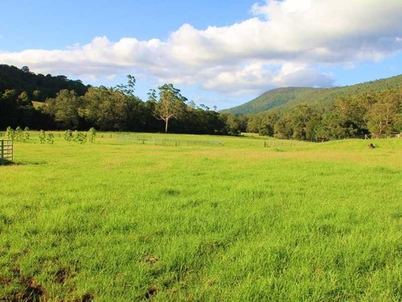 2952 Nerang-Murwillumbah Road, Numinbah Valley QLD 4211
