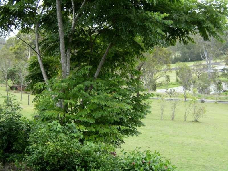 10-14 Haygarth Drive, Kooralbyn QLD 4285