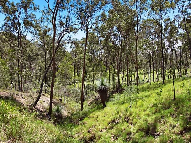 Lots 1 & 2 Tamrookum Creek Road, Beaudesert QLD 4285