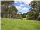 Lots 1 & 2 Tamrookum Creek Road, Beaudesert QLD 4285