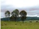 Christmas Creek Road, Christmas Creek QLD 4285