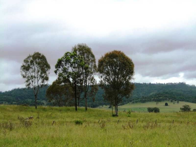 Christmas Creek Road, Christmas Creek QLD 4285