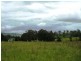 Christmas Creek Road, Christmas Creek QLD 4285
