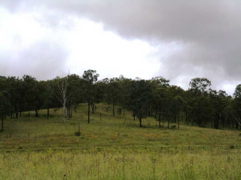 Christmas Creek Road, Christmas Creek QLD 4285