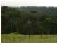 Christmas Creek Road, Christmas Creek QLD 4285