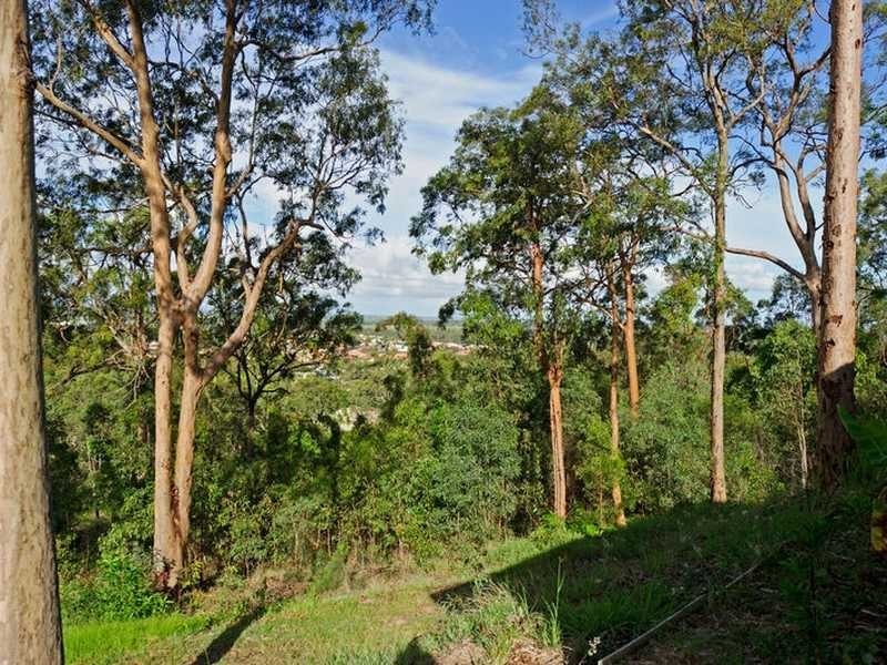38 Leaver Court, Ormeau QLD 4208