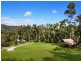 16 Cherry Tree Court, Canungra QLD 4275