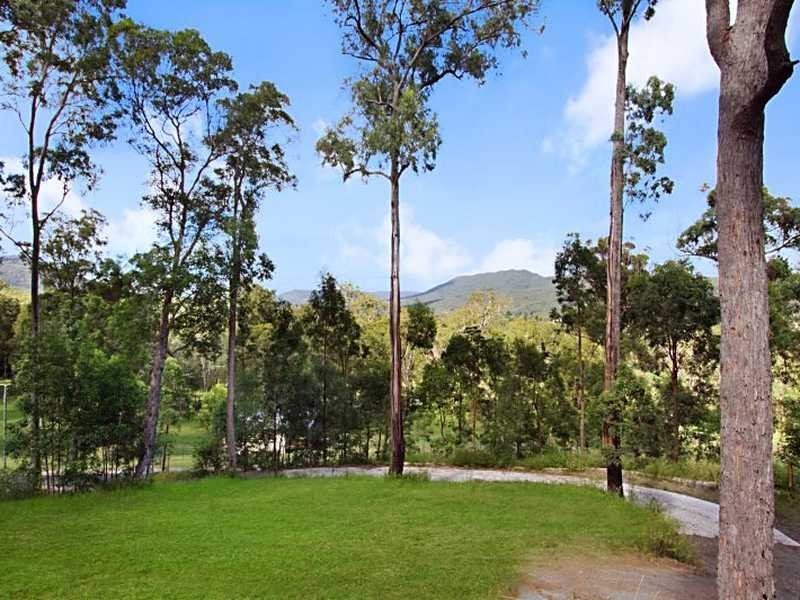 15 Cherry Tree Court, Canungra QLD 4275