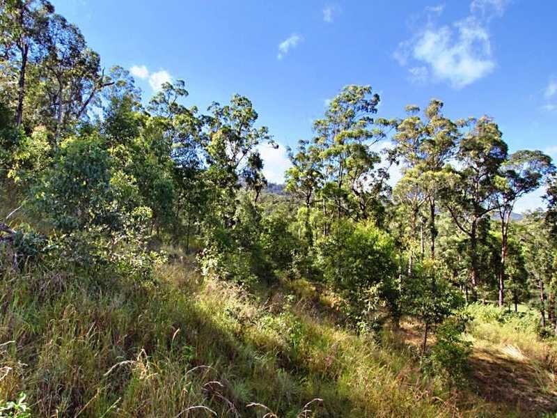 15 Cherry Tree Court, Canungra QLD 4275