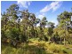 15 Cherry Tree Court, Canungra QLD 4275