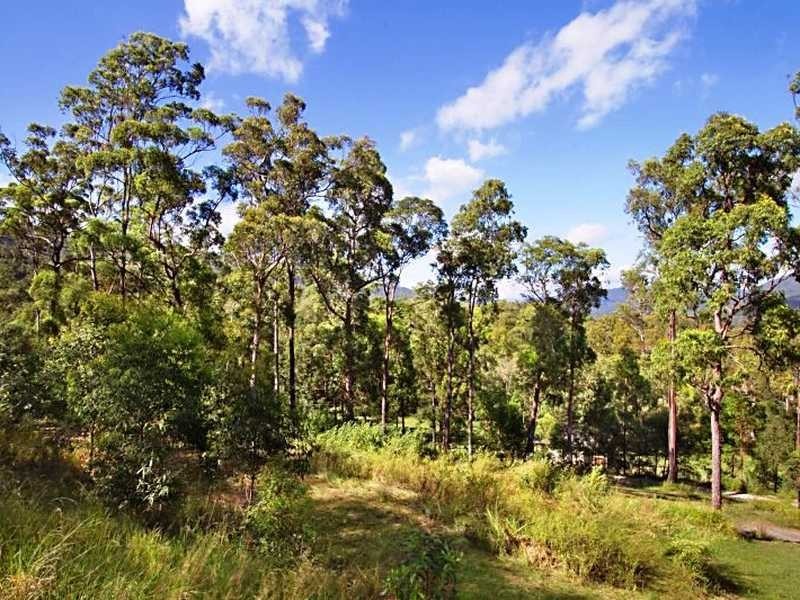 15 Cherry Tree Court, Canungra QLD 4275