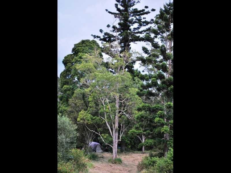 4 Trewin Road, Mundoolun QLD 4285