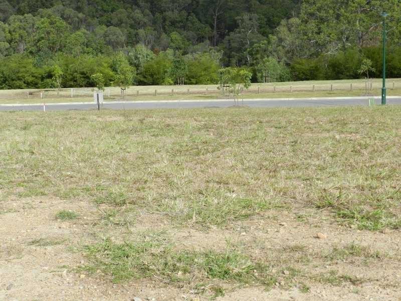 55 Pulchella Ramble, Reedy Creek QLD 4227