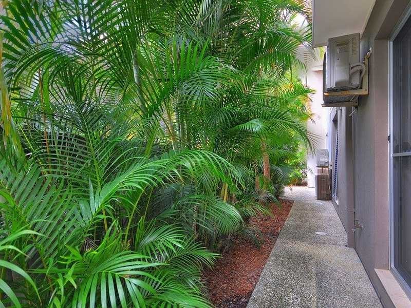 1/7 The Links, Robina QLD 4226