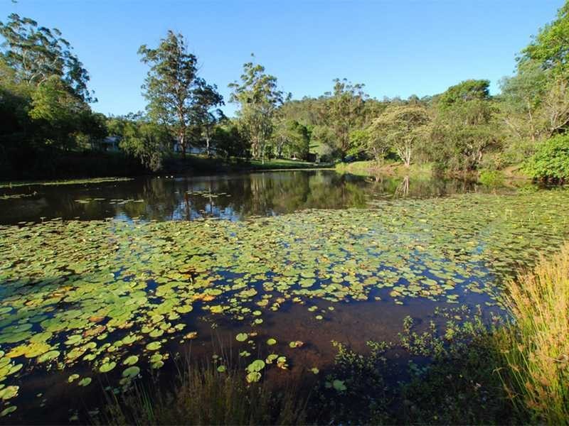 80 Berrigans Road, Mudgeeraba QLD 4213