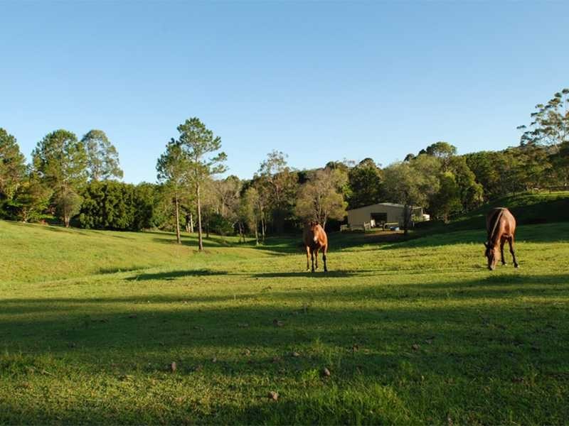 80 Berrigans Road, Mudgeeraba QLD 4213