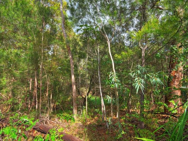 42A Evergreen Drive, Elanora QLD 4221