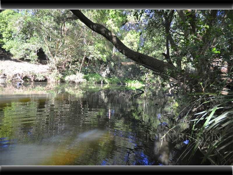 30 Gilward Dr, Mudgeeraba QLD 4213