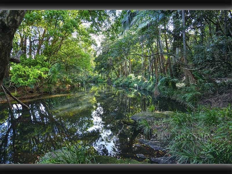 53 Tyalgum Street, Mudgeeraba QLD 4213