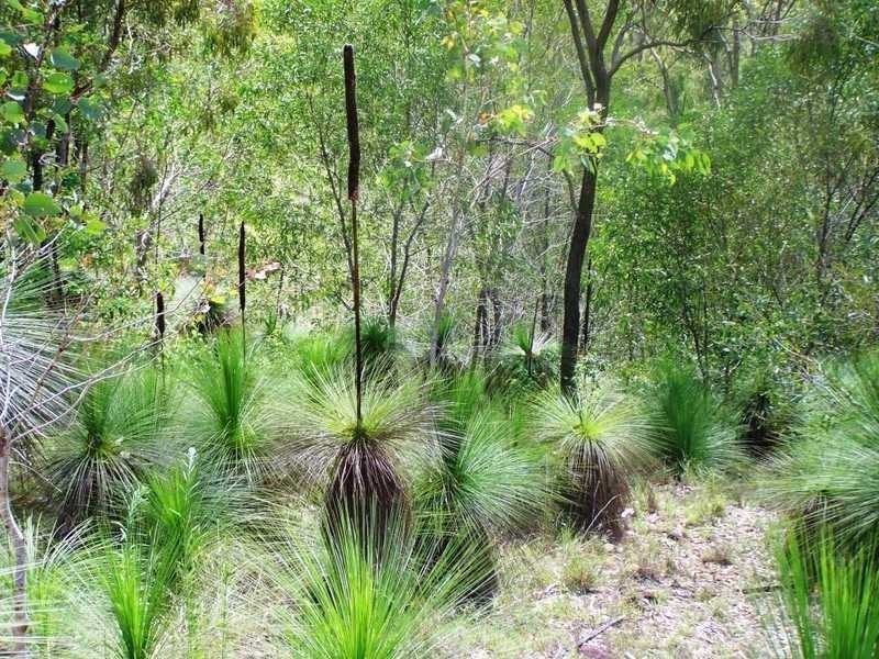 177-187 Boomerang Drive, Kooralbyn QLD 4285