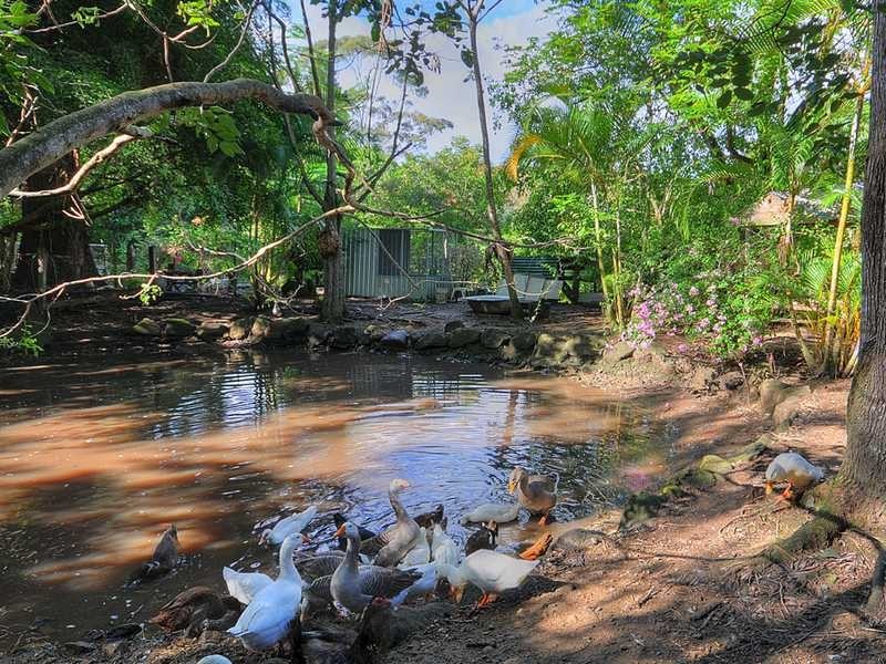 28 BRADMAN DRIVE, Currumbin Valley QLD 4223