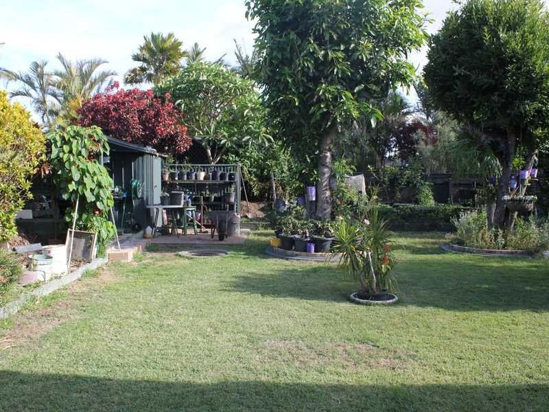 42 Razorbill Street, Burleigh Waters QLD 4220