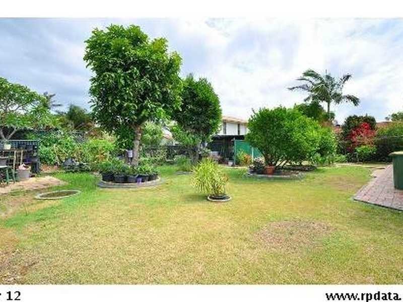 42 Razorbill Street, Burleigh Waters QLD 4220