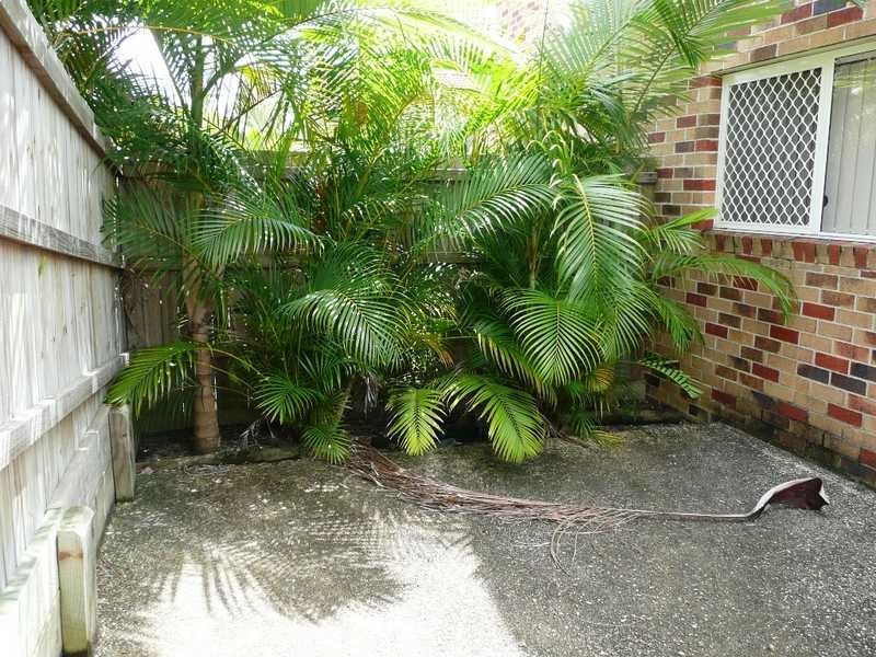 12 Martin Street, Nerang QLD 4211