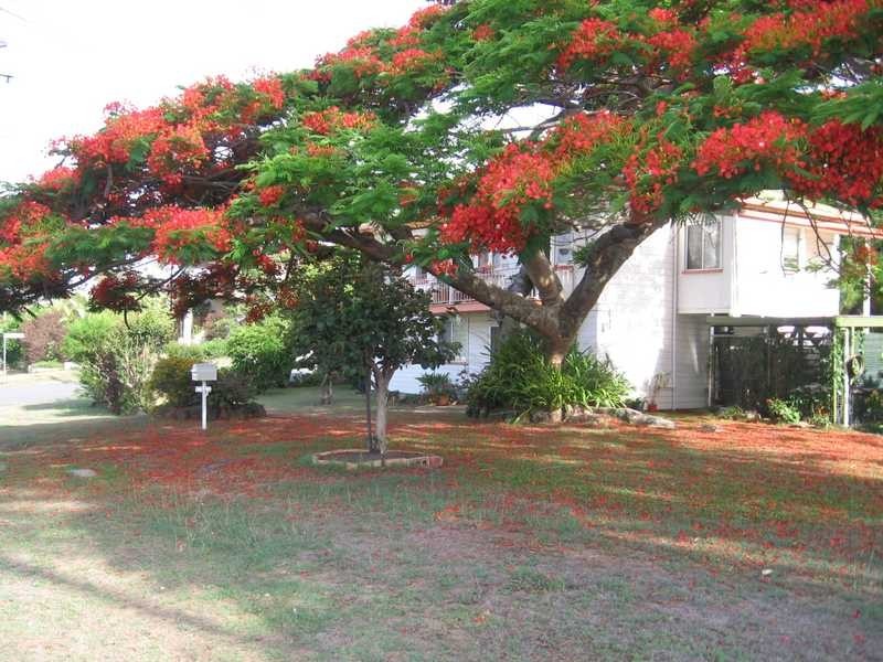 102 Skyline Terrace, Burleigh Heads QLD 4220