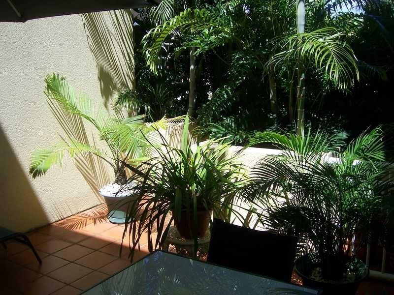 3/12 Britannia Avenue, Broadbeach QLD 4218