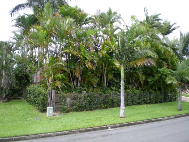 16 Kerria Crescent, Ashmore QLD 4214