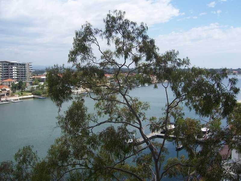 Unit 62/32 Riverview Parade, Surfers Paradise QLD 4217