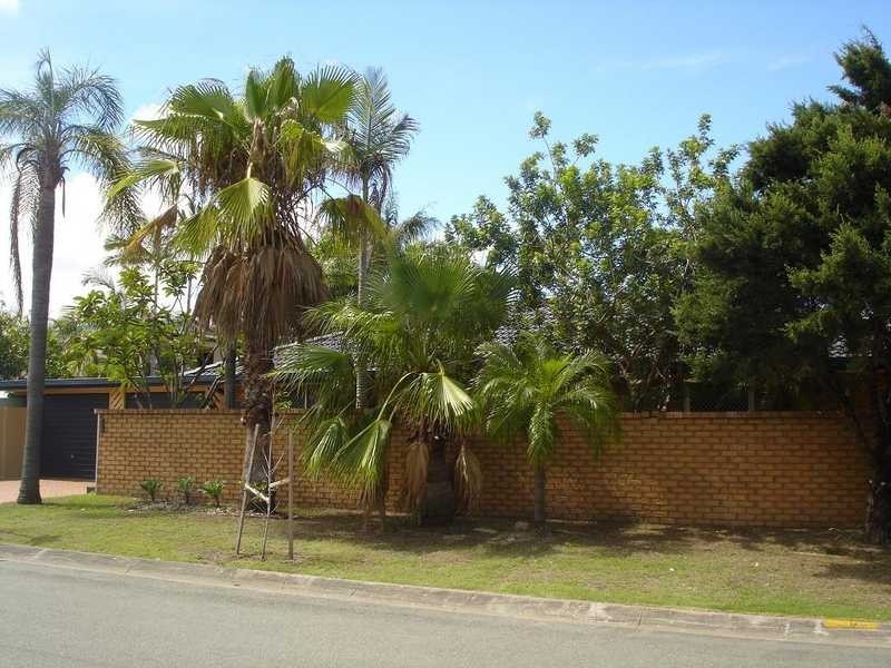 1 McCleary Street, Sorrento QLD 4217