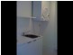 Apartment 22106/ Elizabeth Avenue, Broadbeach QLD 4218