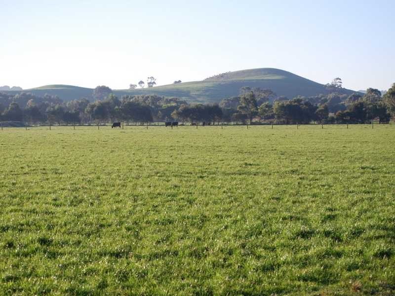 Wonthaggi VIC 3995