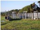 Wonthaggi VIC 3995