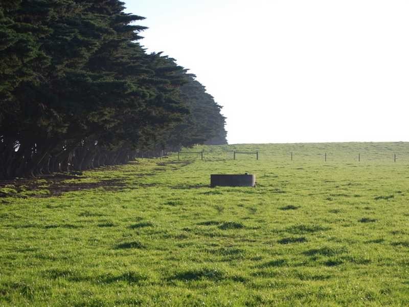Wonthaggi VIC 3995
