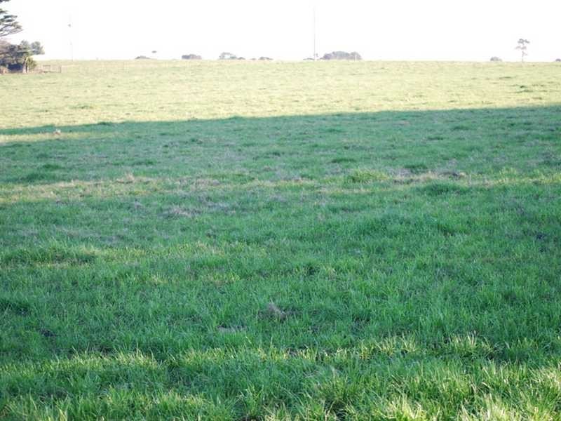 Wonthaggi VIC 3995