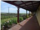 Wonthaggi VIC 3995